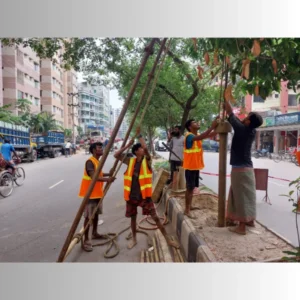 Soil testing process for foundation design and geotechnical investigation